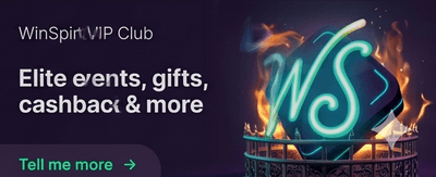 Premium Online Casino Action banner